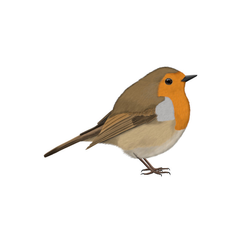 rotkehlchen tshirts, tassen, pullover, tolle geschenke mit vogelmotiven für vogelfreunde und vogelbeobachter
