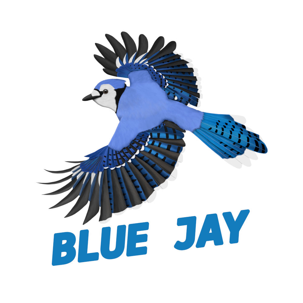 Illustration of a blue jay bird with the text 'BLUE JAY' below it on a white background