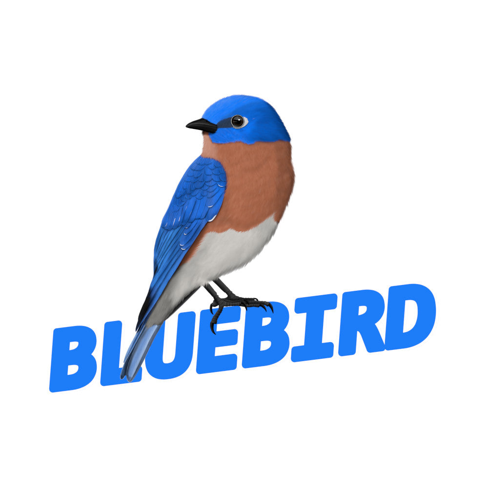 Bluebird illustration with 'BLUEBIRD' text on a white background