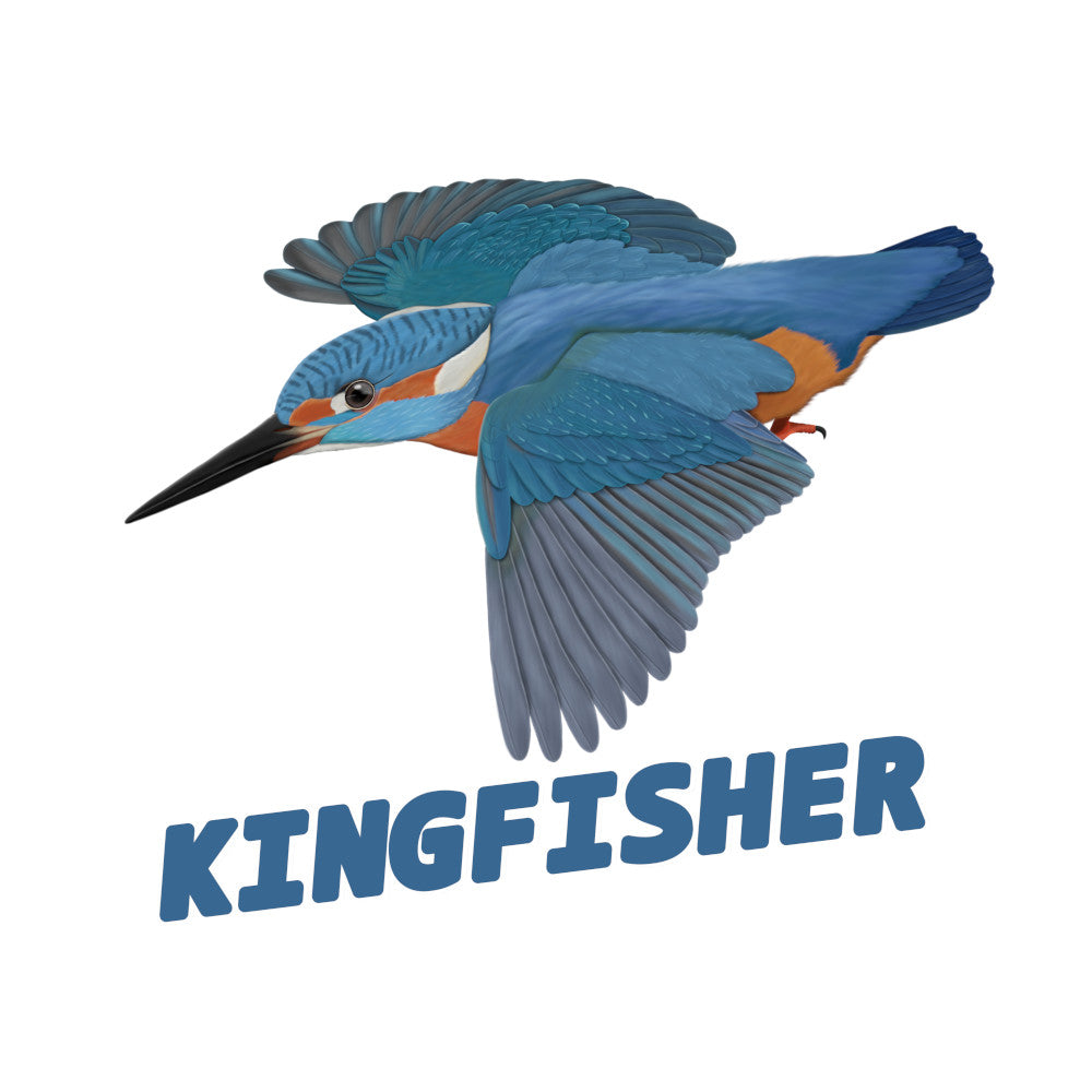 Illustration of a kingfisher with the word 'KINGFISHER' below it on a white background