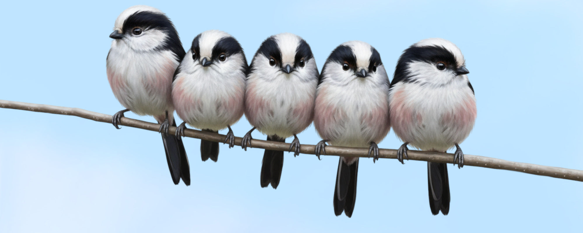 エナガ 鳥 雑貨 プレゼント