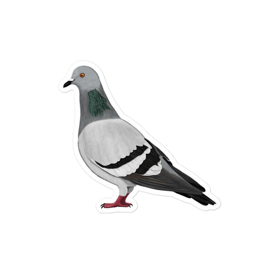 ハト 防水ビニールステッカー / 野鳥デザイン (PC・スーツケース用)
