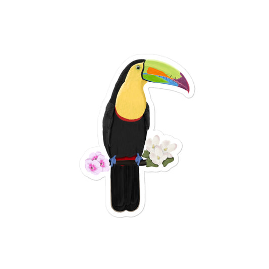 サンショクキムネオオハシ 防水ビニールステッカー / 野鳥デザイン (PC・スーツケース用)