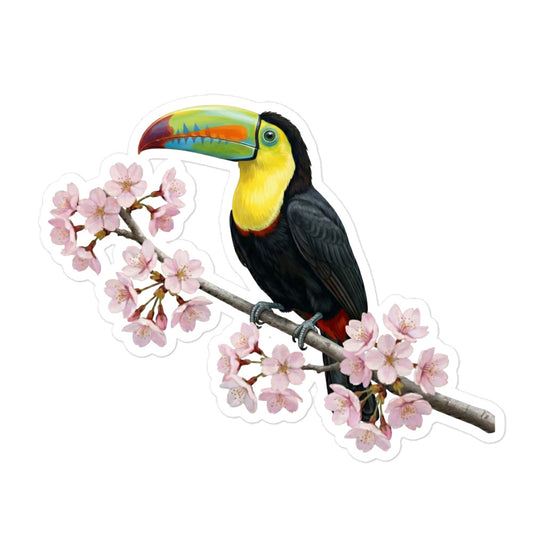 【サンショクキムネオオハシ】 桜と野鳥のプレミアムステッカー | 光沢仕上げ ダイカットシール