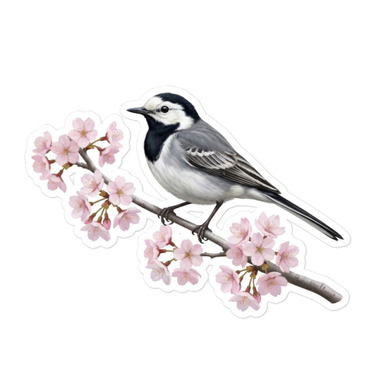 【ハクセキレイ】 桜と野鳥のプレミアムステッカー | 光沢仕上げ ダイカットシール