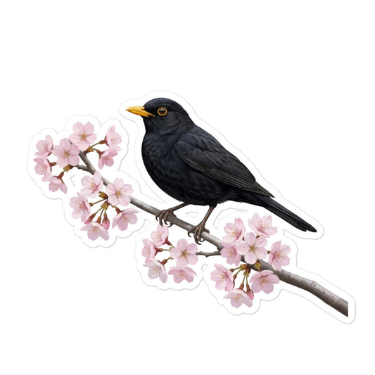 【クロウタドリ】 桜と野鳥のプレミアムステッカー | 光沢仕上げ ダイカットシール
