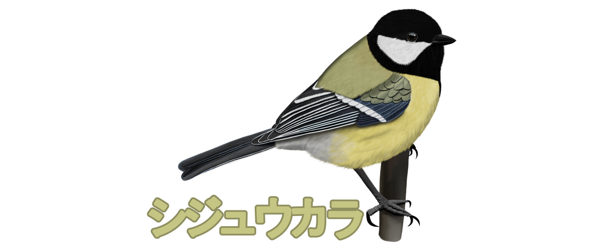 シジュウカラ 野鳥デザイン jz.birds