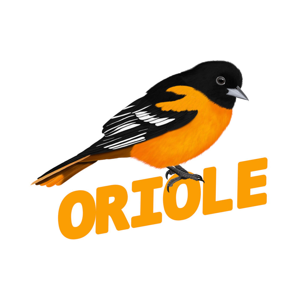 Illustration of an oriole bird with the word 'oriole' below it on a white background