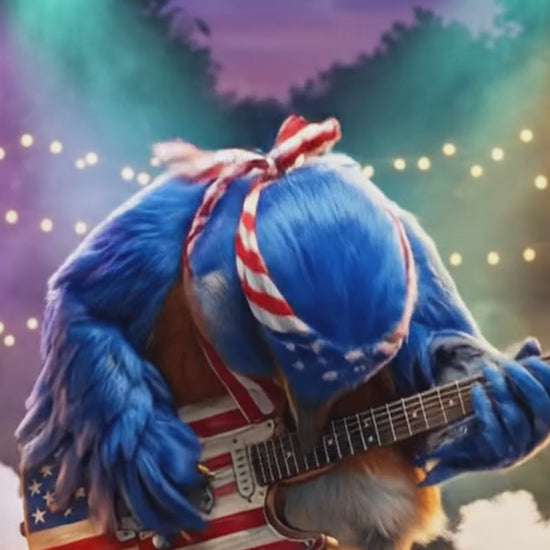 bluebird plays bass guitar solo on stage
