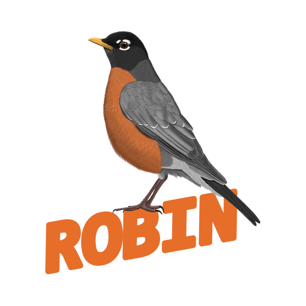 Illustration of a robin bird with the word 'ROBIN' below it on a white background