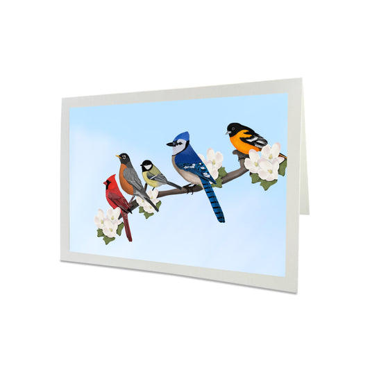 Backyard Birds Blue Jay Cardinal Robin Oriole Greeting Card