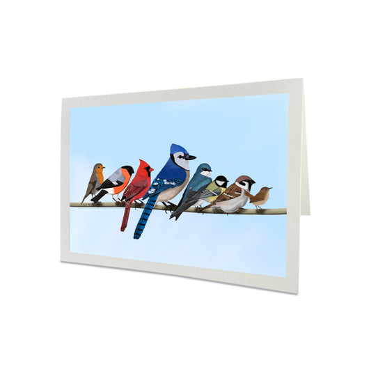 birds greeting card blue jay cardinal bluebird