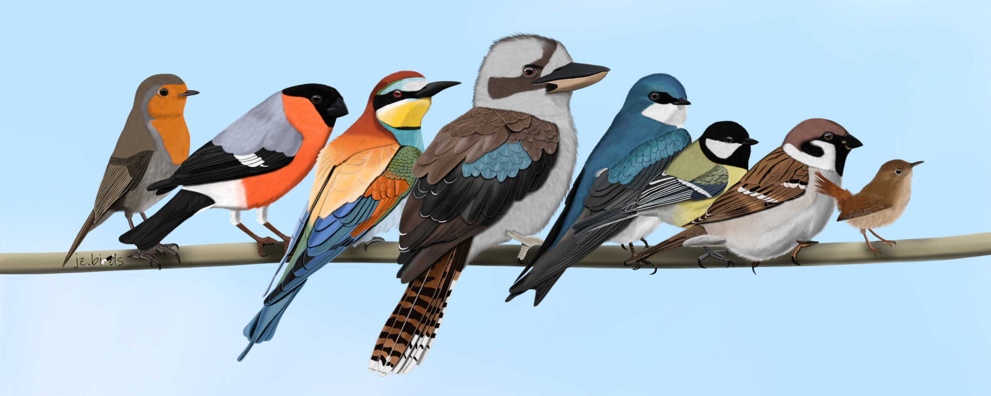 Illustration of kookaburra sparrow wren birds perched on a branch against a blue sky.